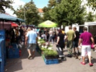 The farmers' market in Jiřího z Poděbrad square
